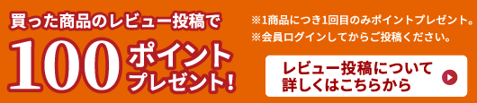 レビュー投稿で100ポイントプレゼント