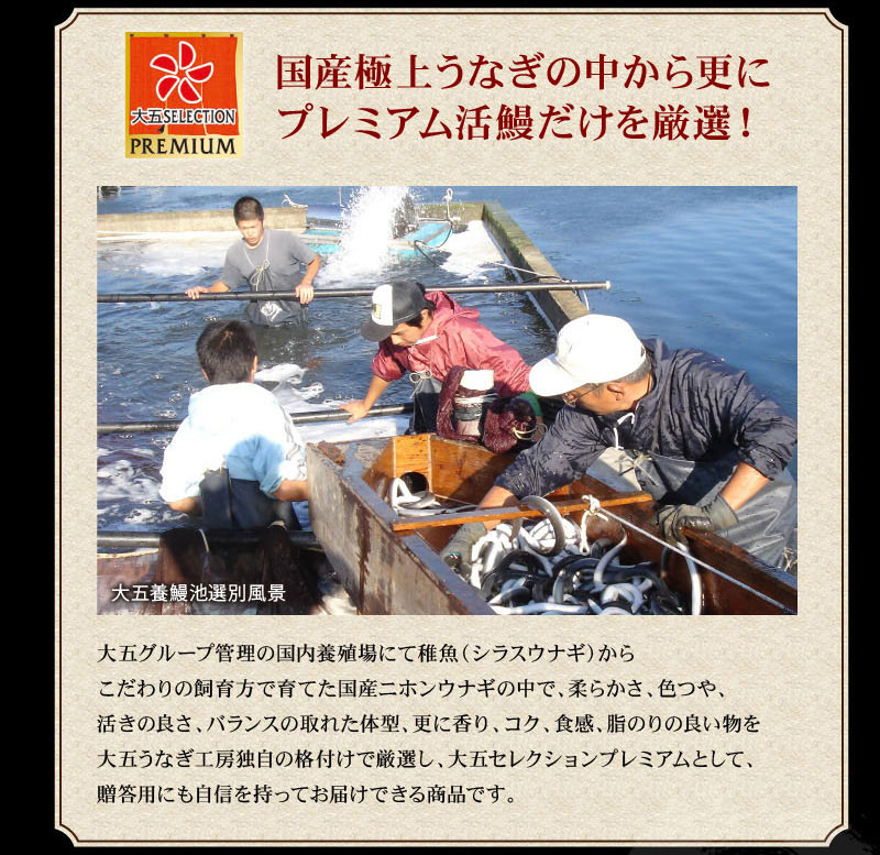 プレミアム活鰻を厳選