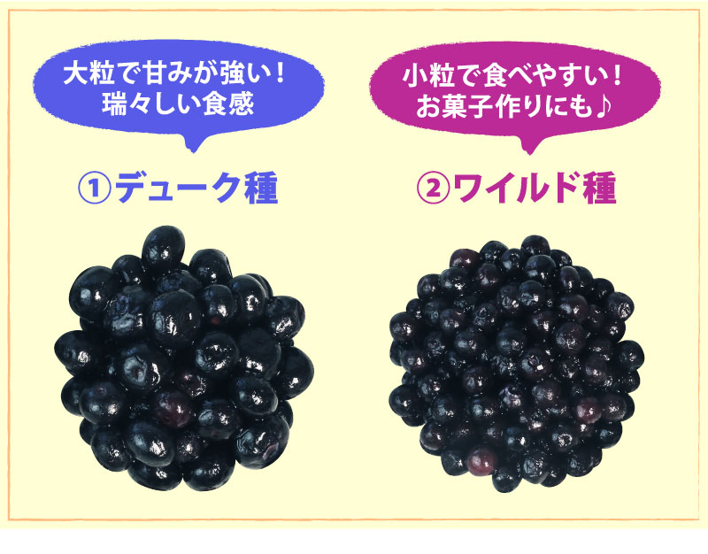 食べ比べセット比較