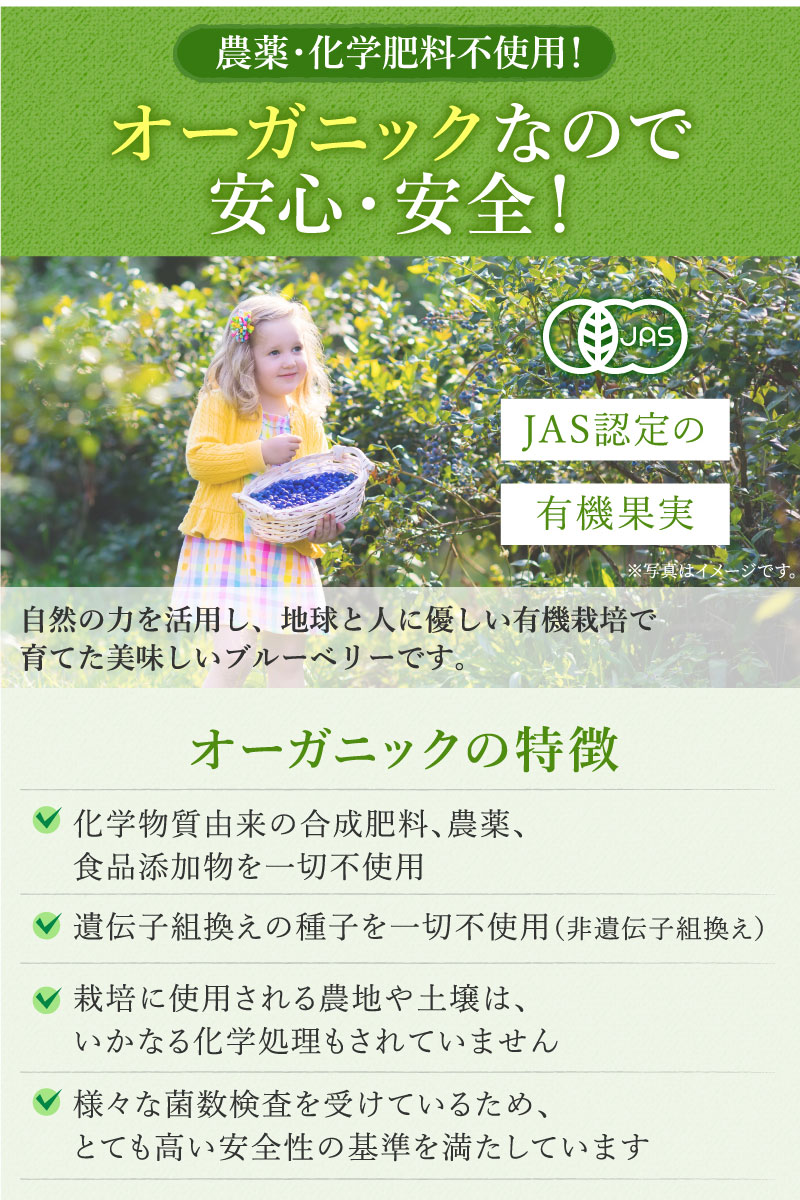 JAS認定の有機果実