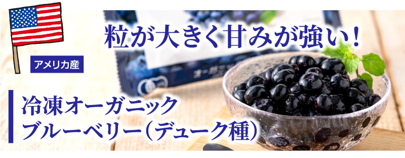 オーガニックブルーベリー
