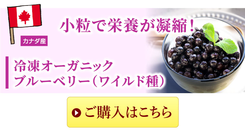 オーガニックワイルドブルーベリー