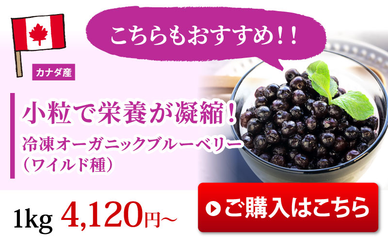 こちらもおすすめ！オーガニックワイルドブルーベリーラインナップ