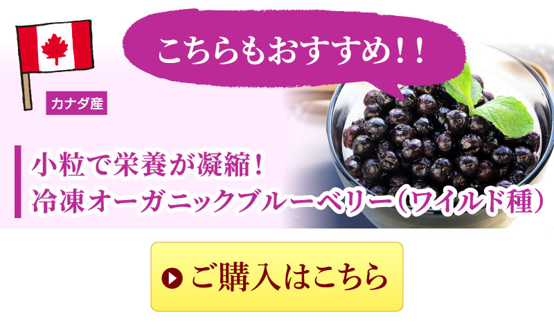 オーガニックワイルドブルーベリーはこちら