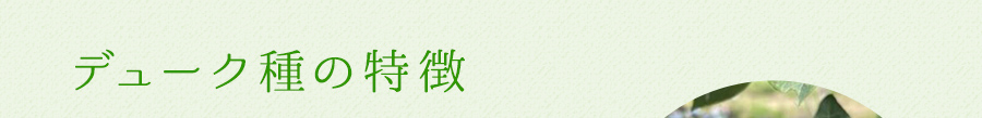 デューク種の特徴