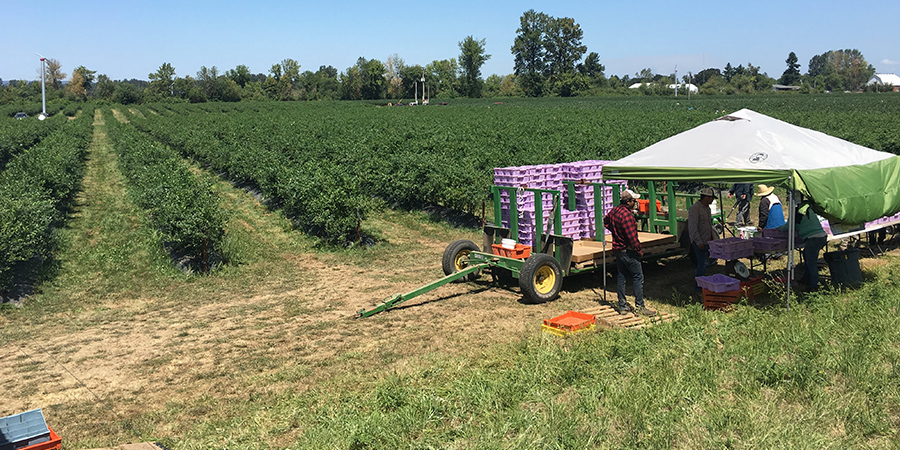 オレゴン州の大自然