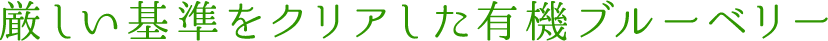 厳しい基準をクリアした有機ブルーベリー