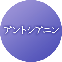 アントシアニン