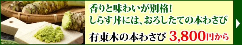 本わさび