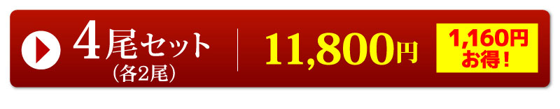 4尾セット