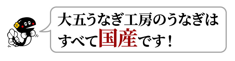 大五うなぎ工房の鰻はすべて国産です