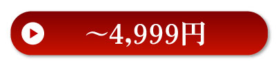 4999円