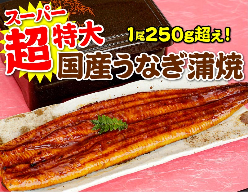 超特大うなぎ蒲焼