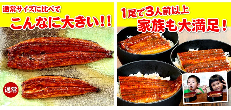 超特大うなぎ蒲焼