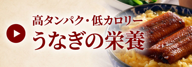 ウナギの栄養