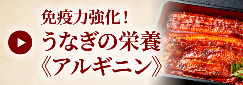 免疫力アップ！鰻蒲焼