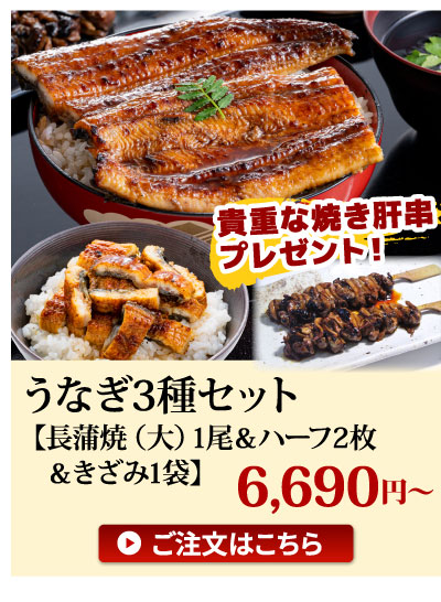 うなぎ3種セット