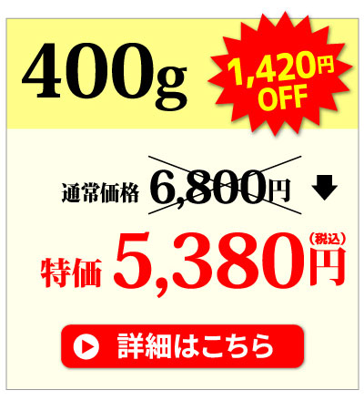 肩ロース400g