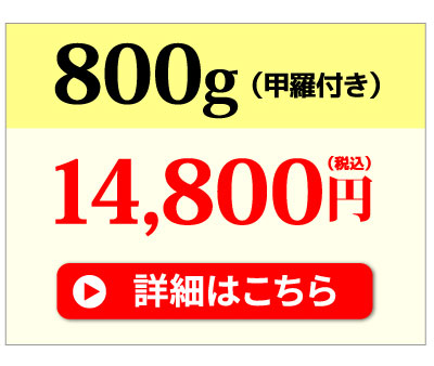 すっぽん鍋800g