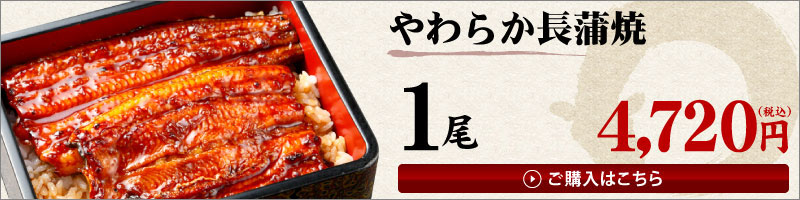 やわらか長蒲焼1尾