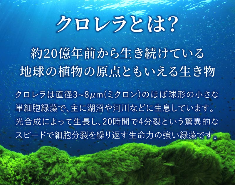 クロレラとは