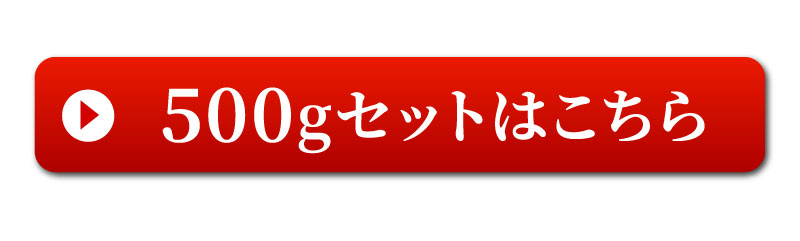 500gセットはこちら