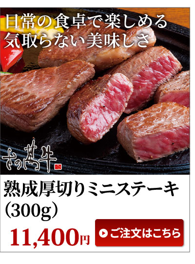 ミニステーキ
