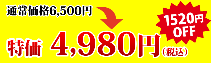 発売記念特価