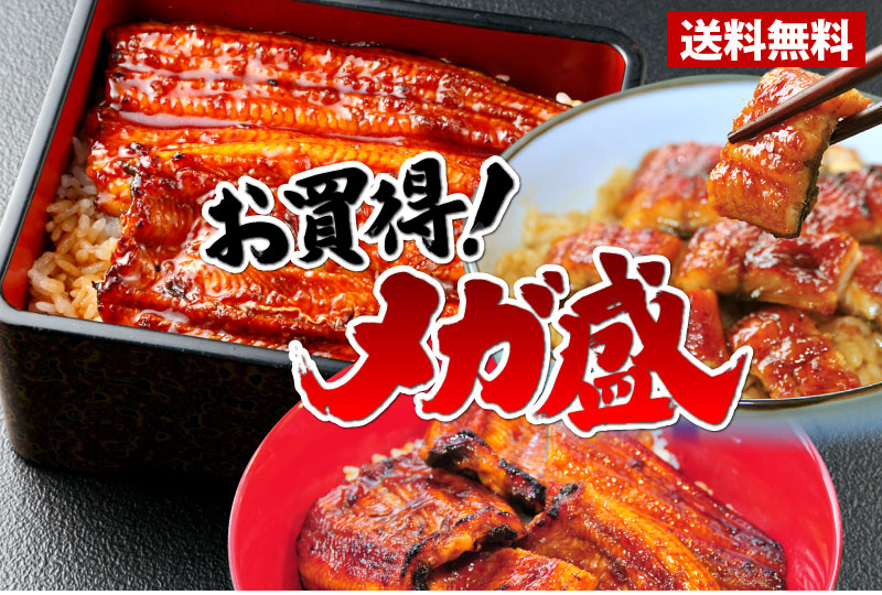 お買い得メガ盛り