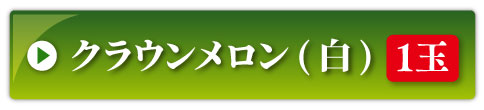クラウンメロン1玉