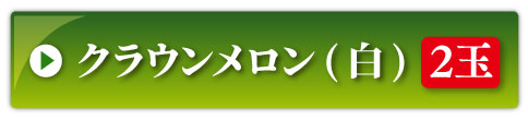 クラウンメロン2玉