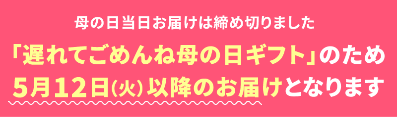 母の日ま遅れてごめんね