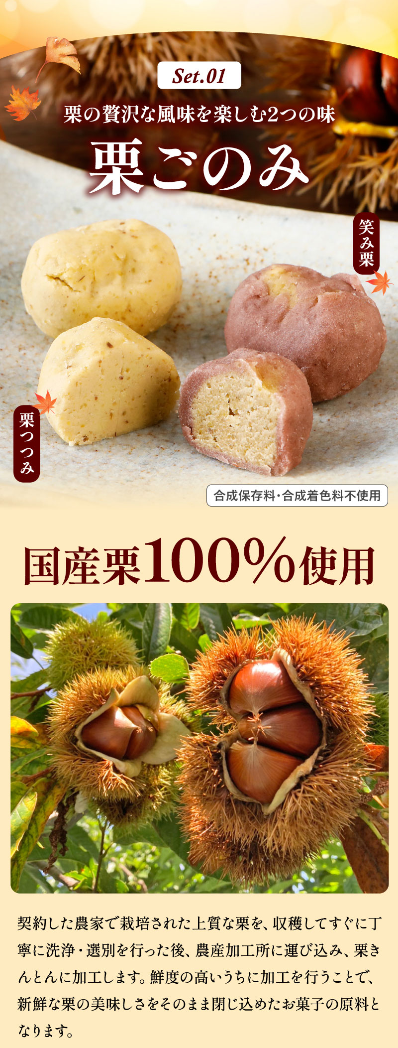 栗ごのみ／国産栗100％使用