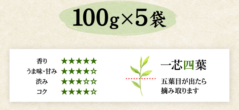 100g×5本