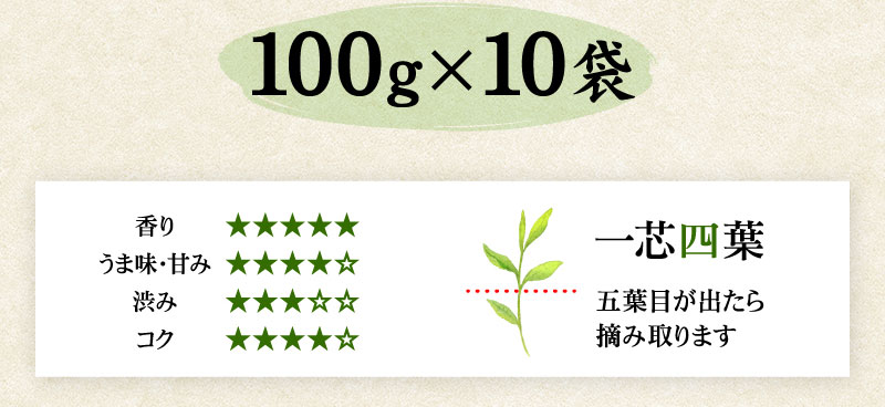 100g×10本