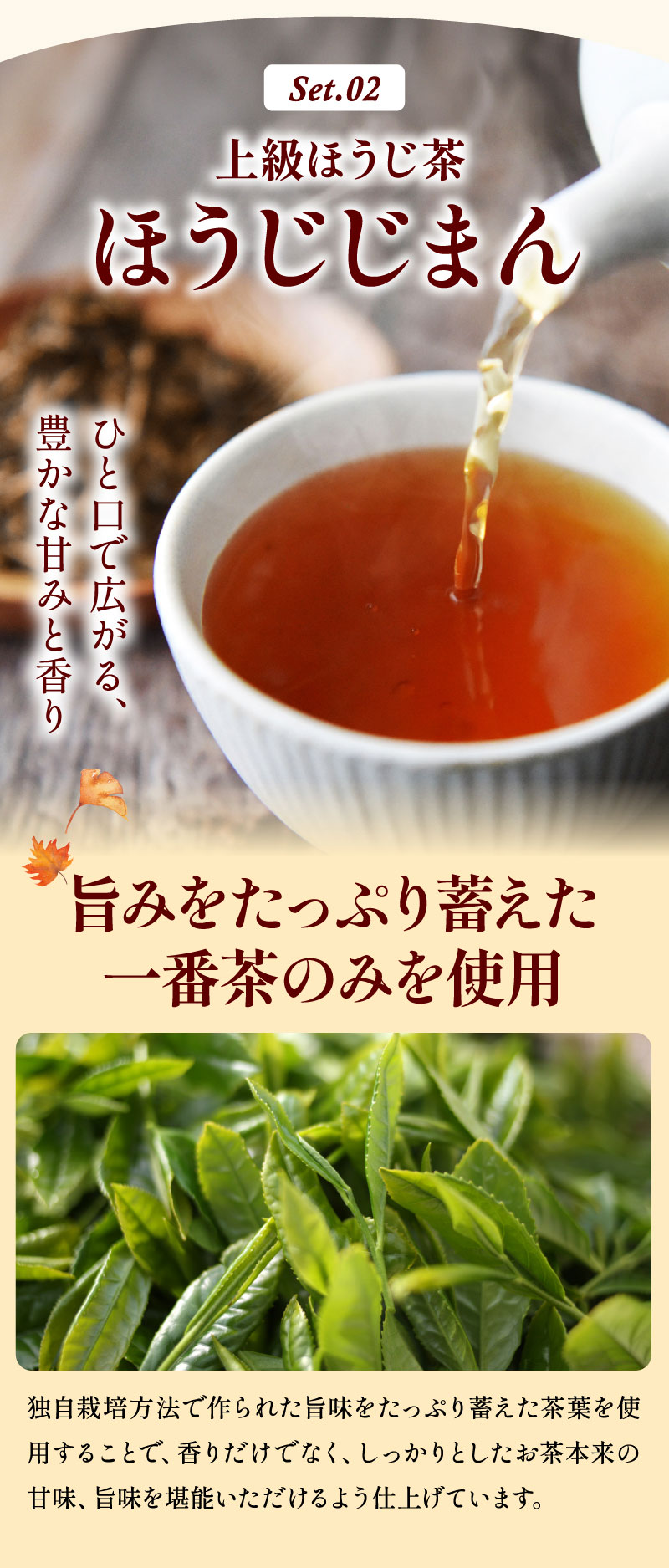 上級ほうじ茶「ほうじじまん」一番茶のみを使用