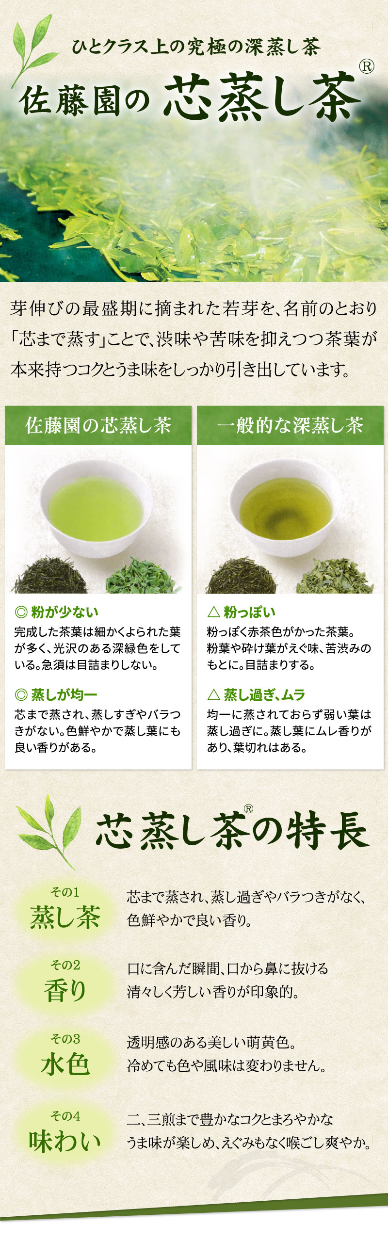 深蒸し茶を超えた佐藤園の芯蒸し茶