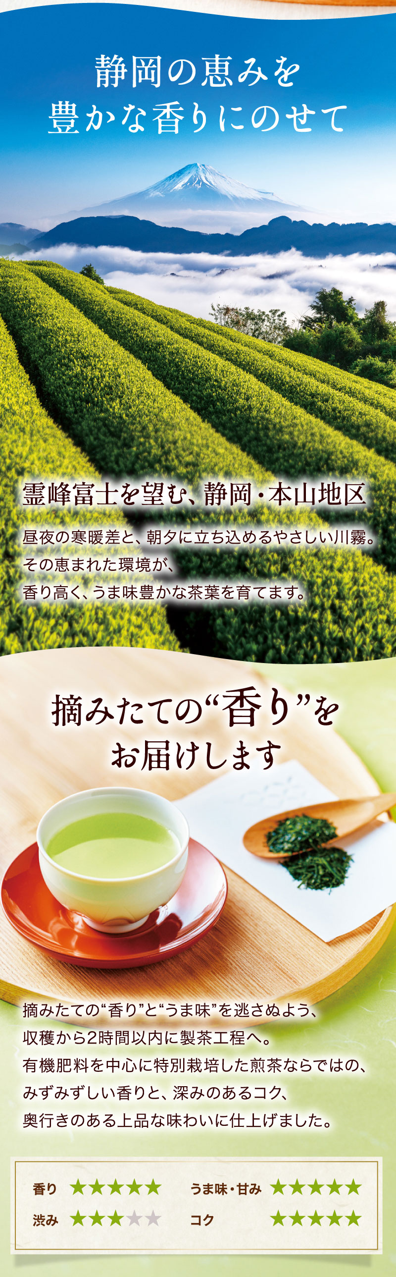 セット内容1：母の日新茶