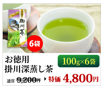 掛川深蒸し茶100g×6袋