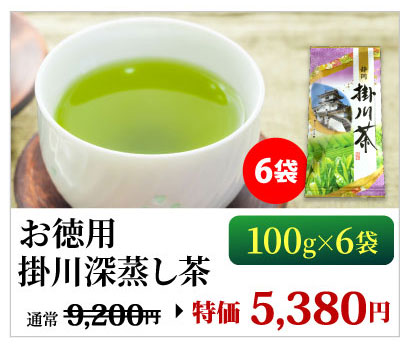 掛川深蒸し茶100g×6袋