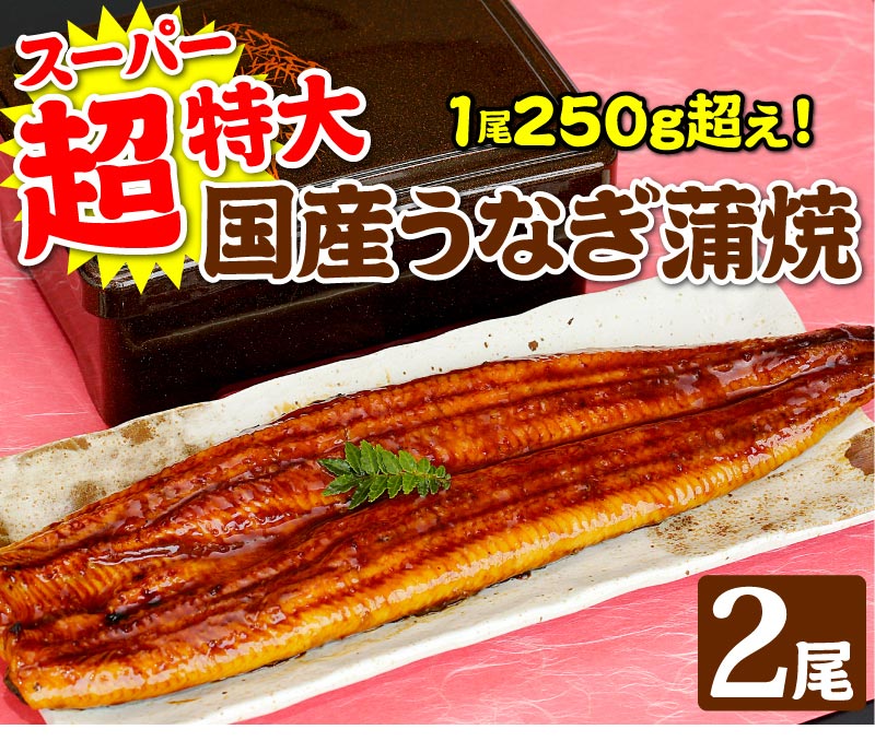 超特大うなぎ蒲焼　2尾