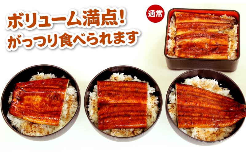 ボリューム満点