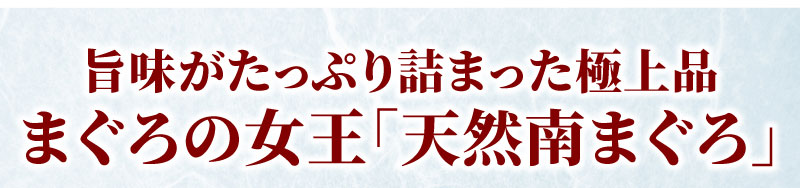 天然南まぐろ