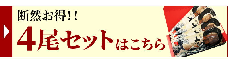 4尾セット