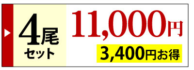 白焼き4尾