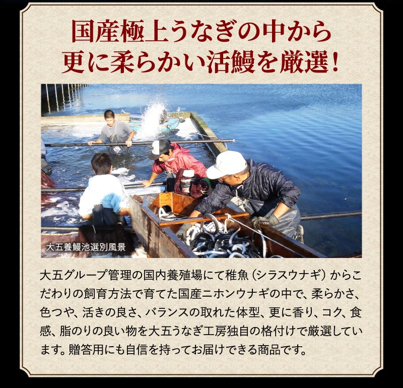 厳選うなぎ