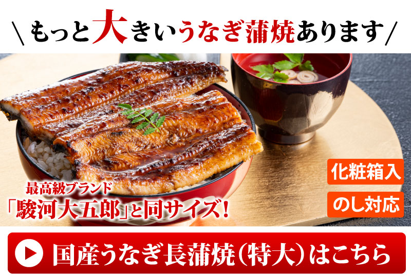 うなぎ蒲焼大サイズはこちら