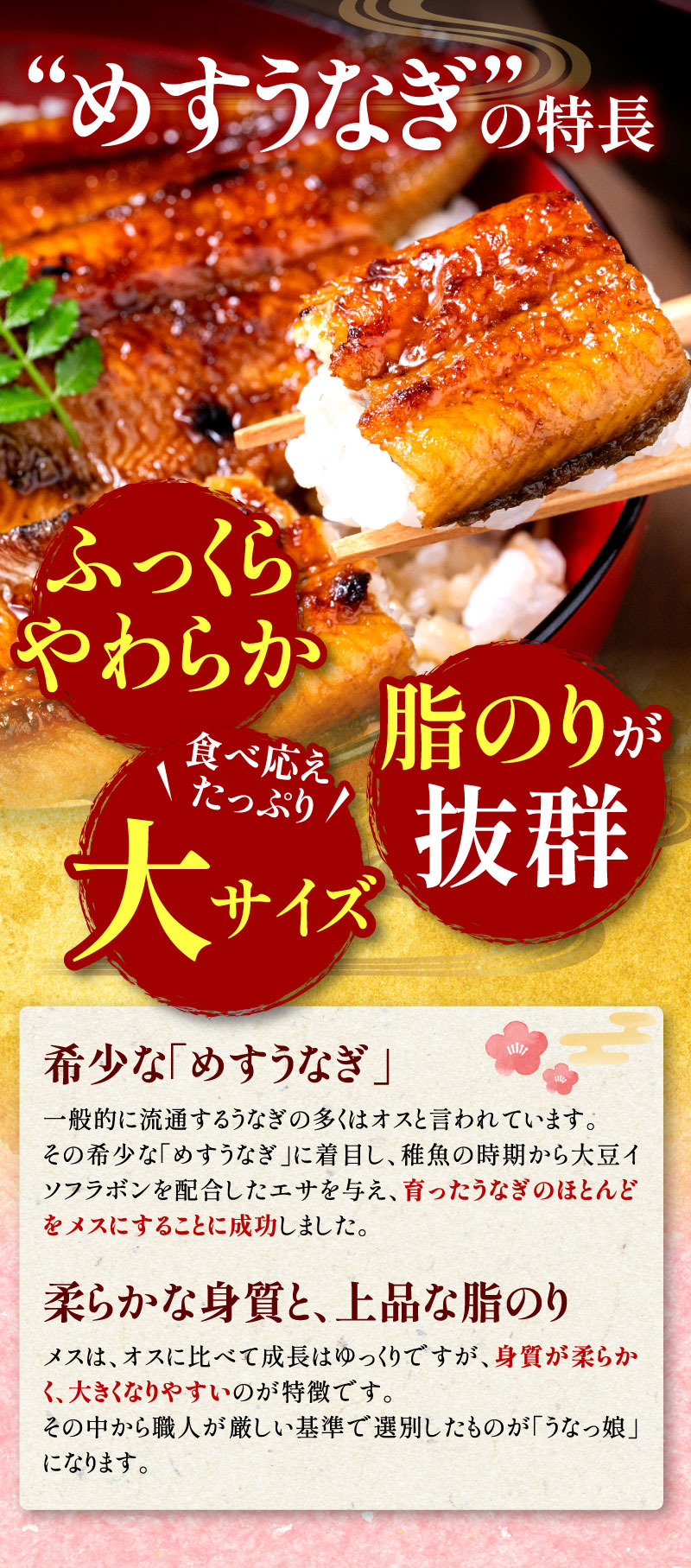 めすうなぎの特長：ふっくらやわらか、食べ応えたっぷり大サイズ、脂のり抜群