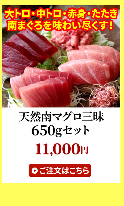 ミナミマグロ三昧