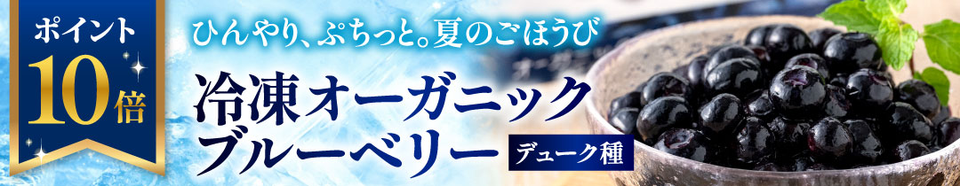 ブルーベリー